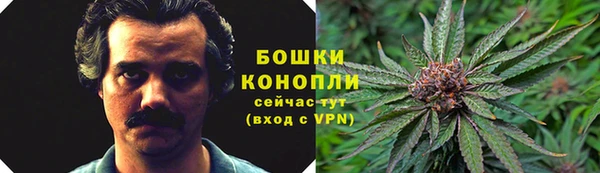 каннабис Алзамай