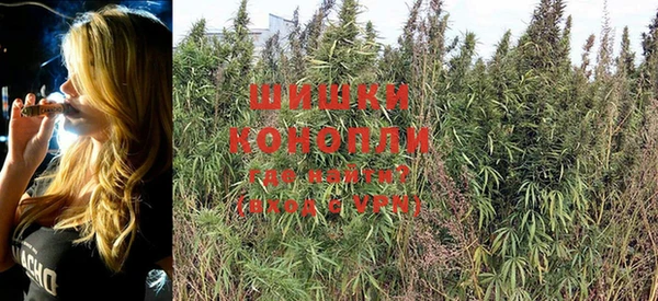 PSILOCYBIN Алексеевка