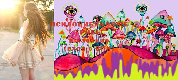 PSILOCYBIN Алексеевка